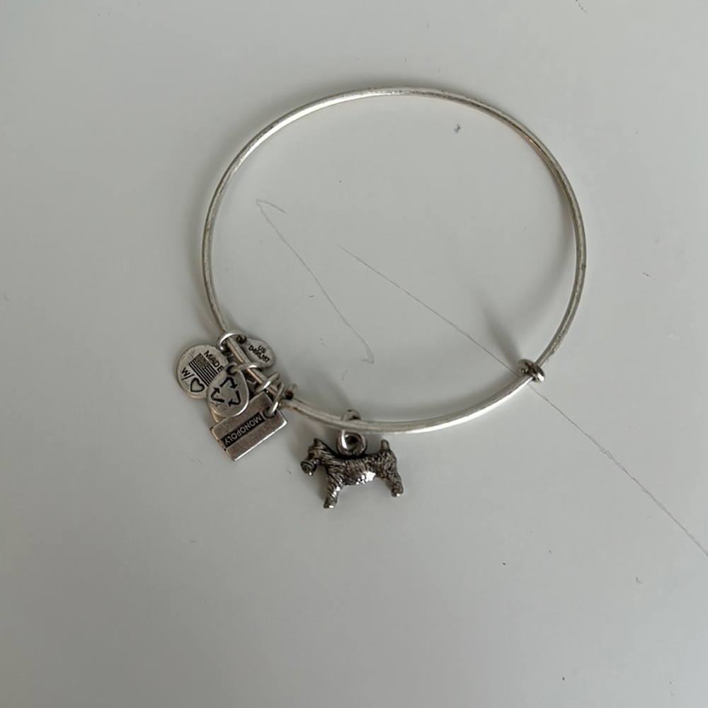 ALEX AND ANI MONOPOLY DOG